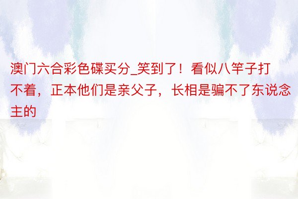 澳门六合彩色碟买分_笑到了！看似八竿子打不着，正本他们是亲父子，长相是骗不了东说念主的
