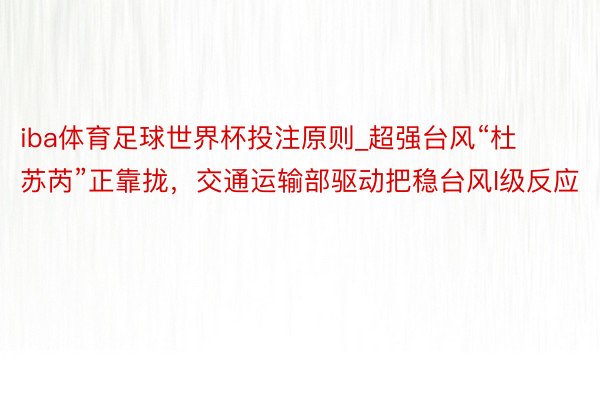 iba体育足球世界杯投注原则_超强台风“杜苏芮”正靠拢，交通运输部驱动把稳台风I级反应