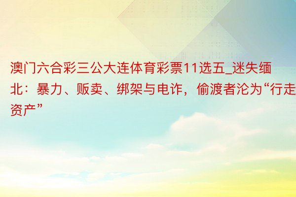 澳门六合彩三公大连体育彩票11选五_迷失缅北：暴力、贩卖、绑架与电诈，偷渡者沦为“行走的资产”