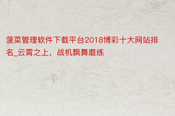 菠菜管理软件下载平台2018博彩十大网站排名_云霄之上,战机飘舞磨练